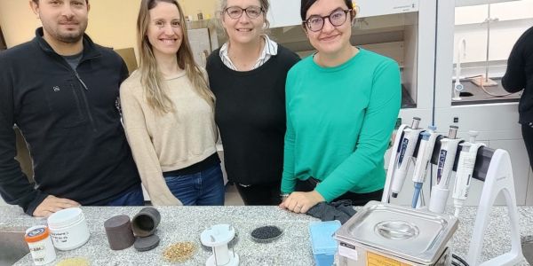 La yerba ¿podría formar parte de nuestros celulares y computadoras?