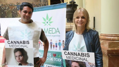 cannabis