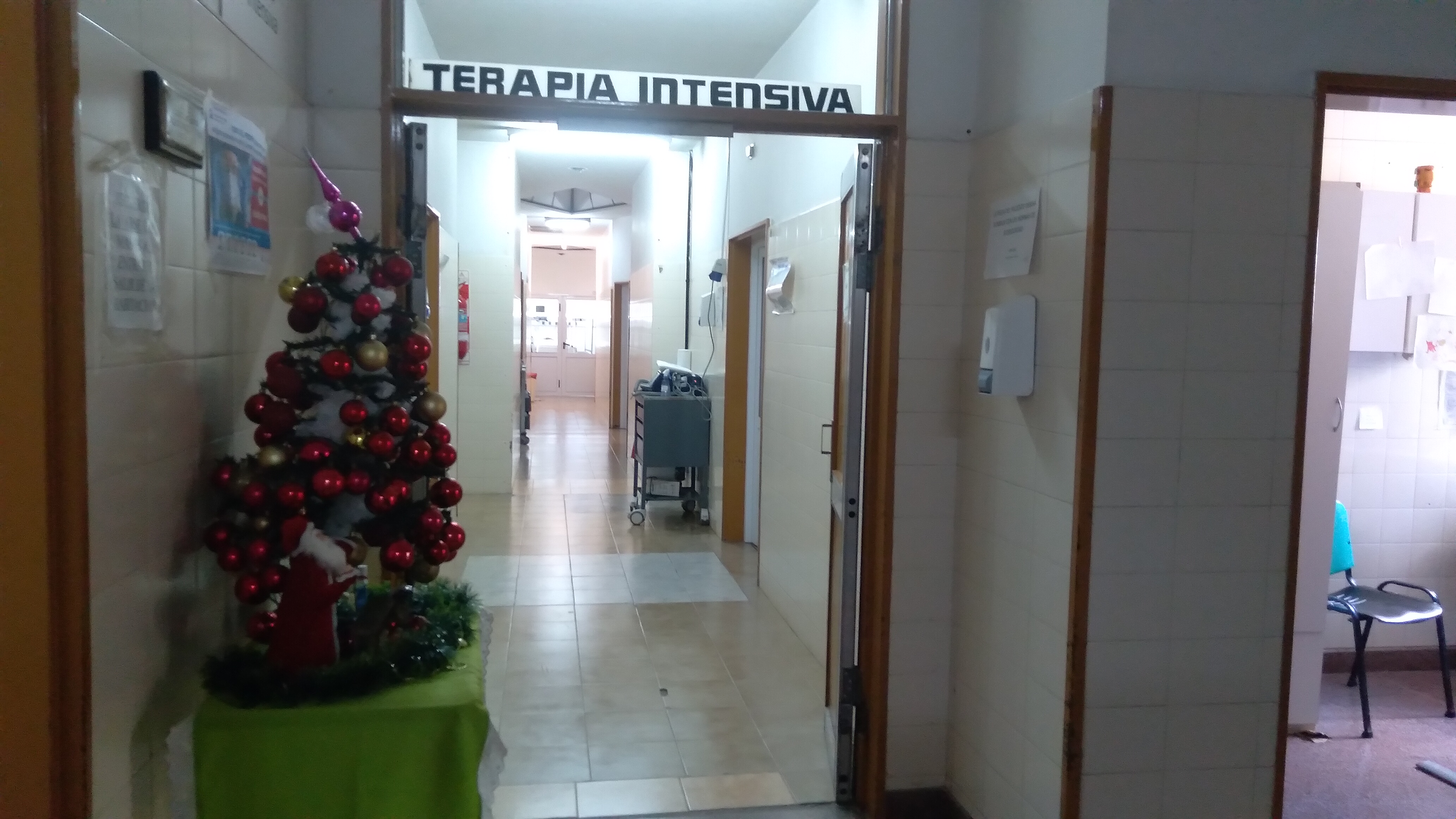 tera4