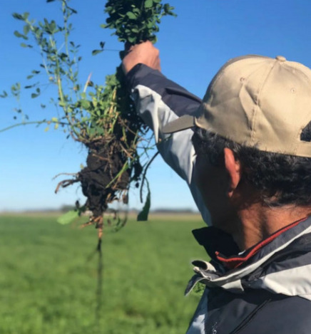 Agroecologia 1