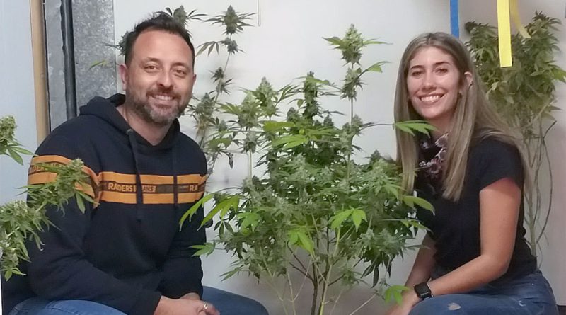 cannabis ag 800x445