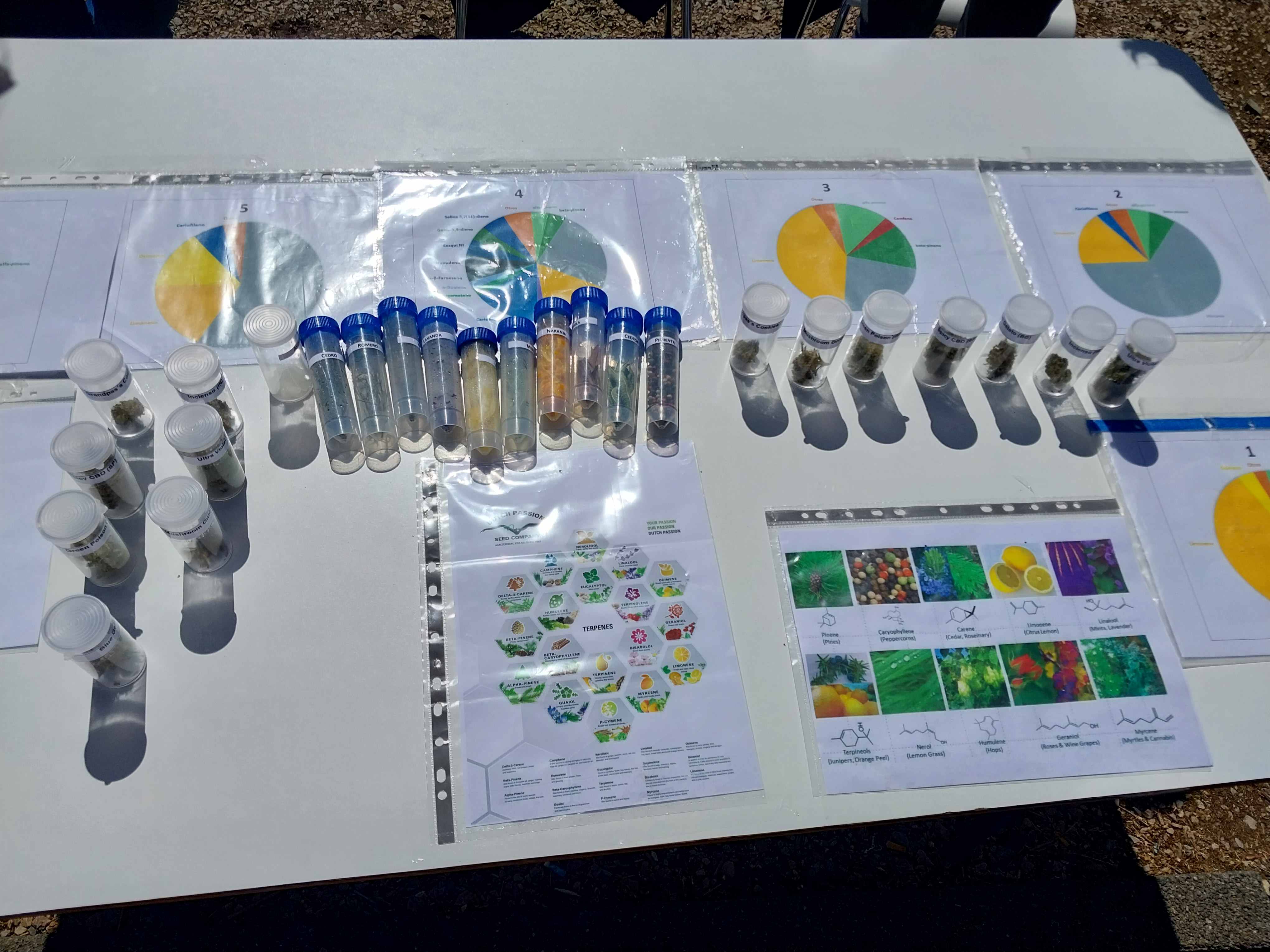 semana de la ciencia uyc t