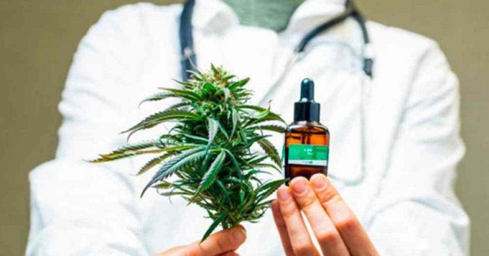 cannabis aceite