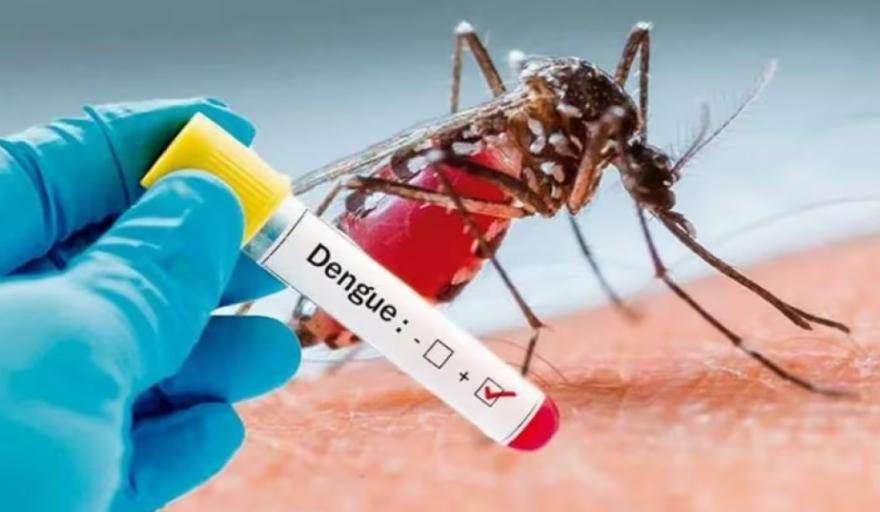 dengue