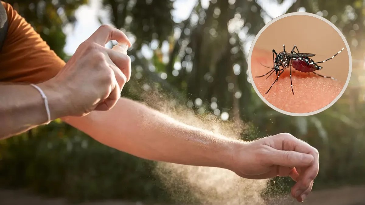 dengue1