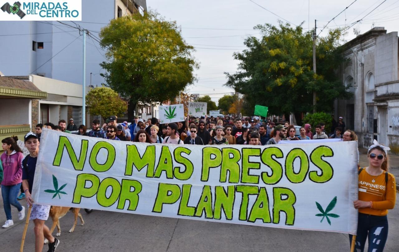 Cannabis Activa