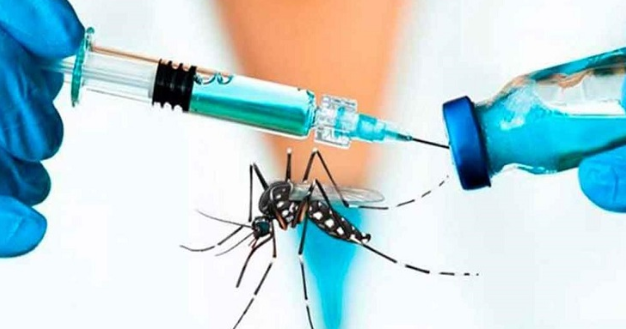 Dengue