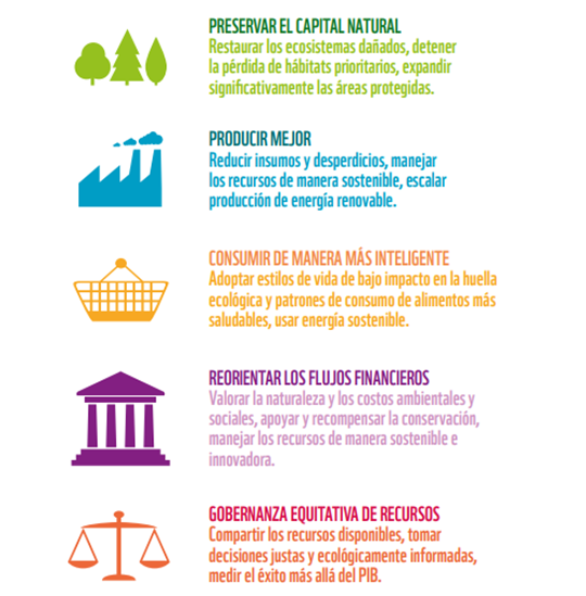alternativas sustentables