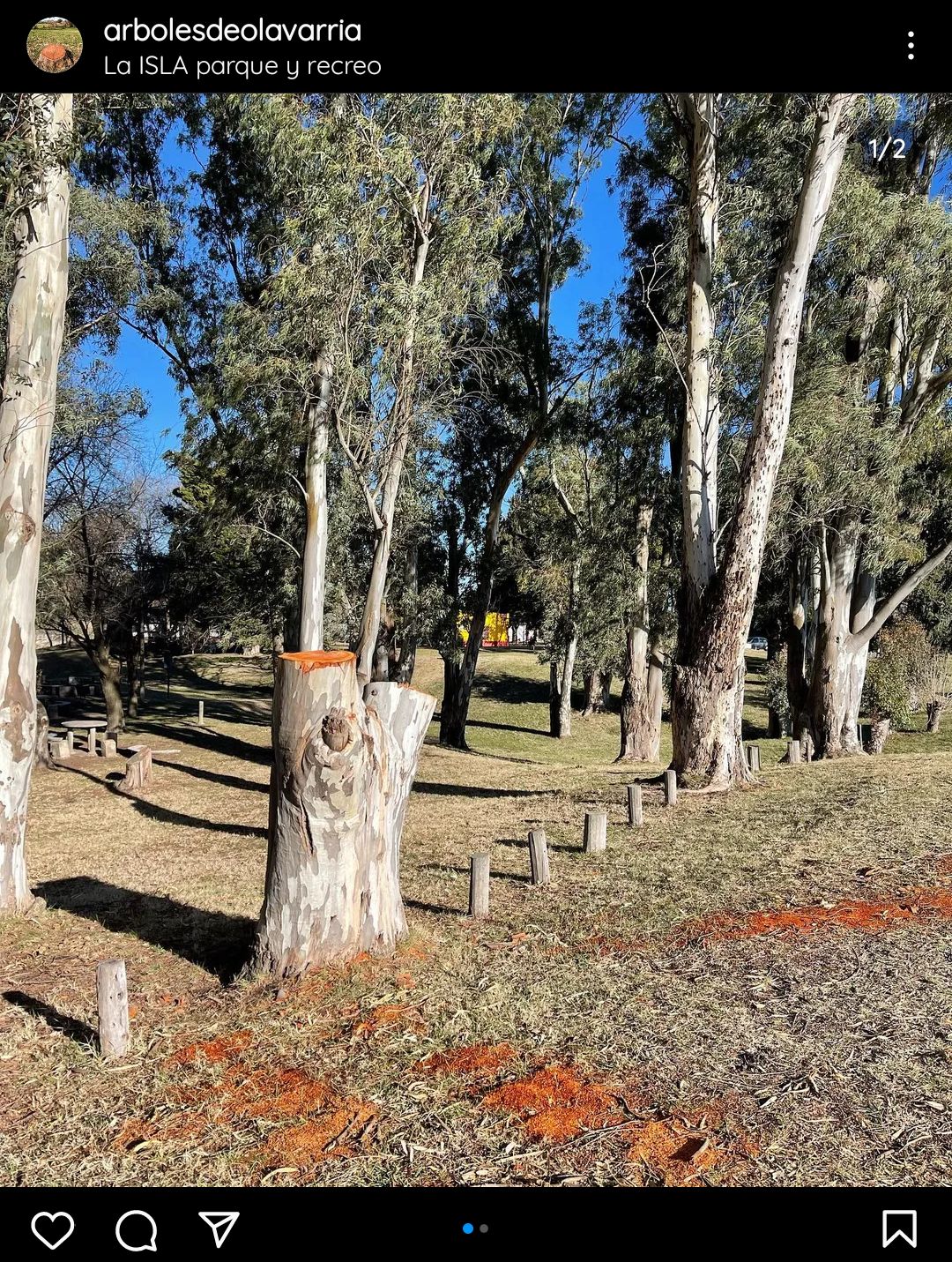 arbol2