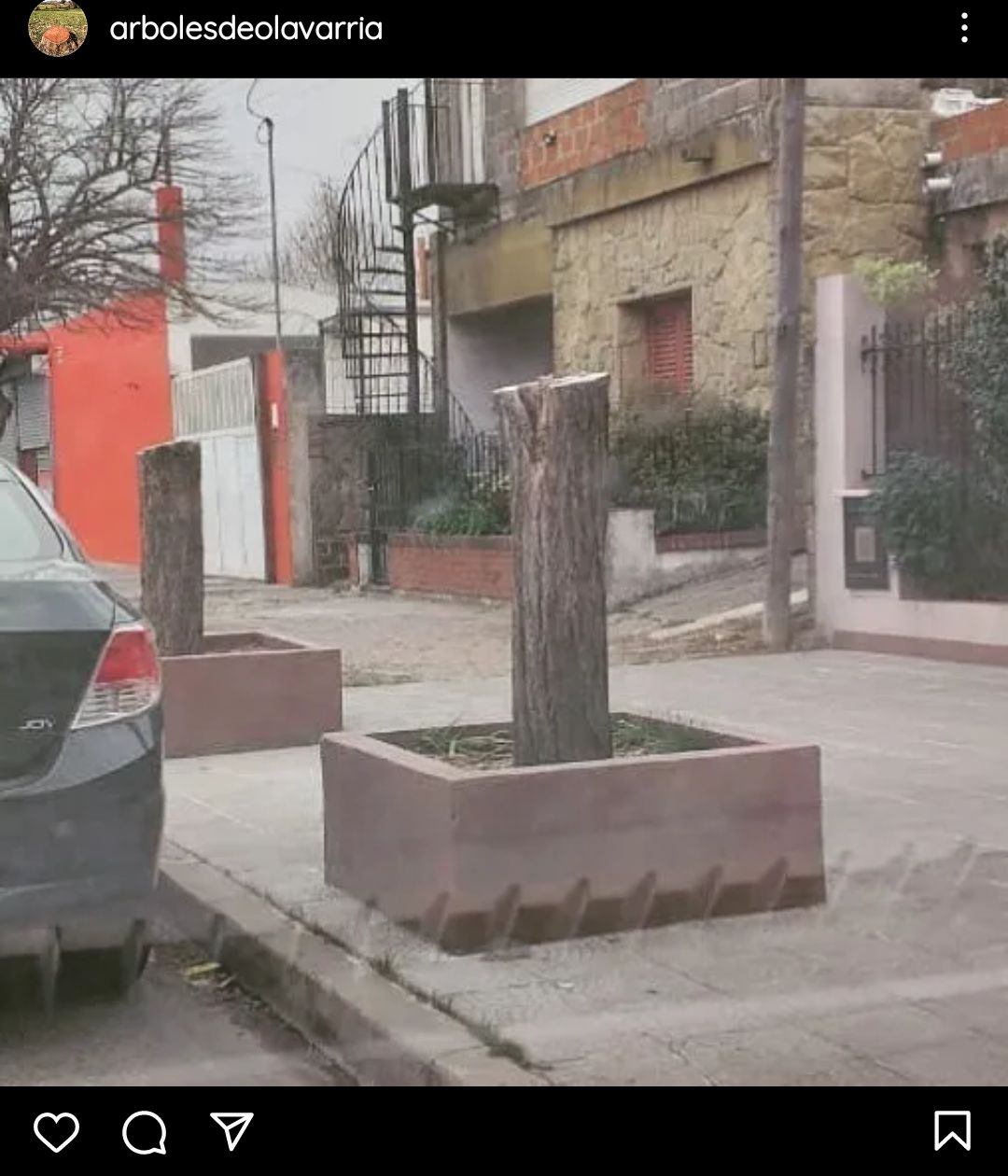 arbol4