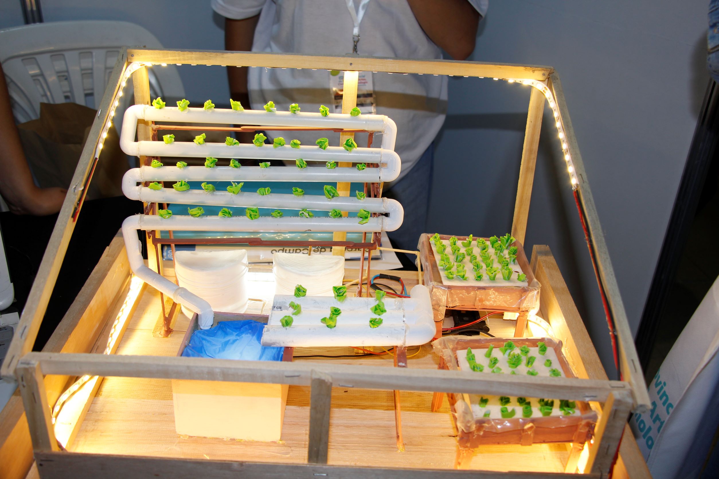 hidroponia3
