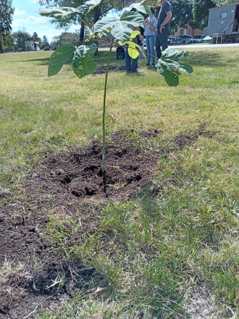 plantamosmemoria 6