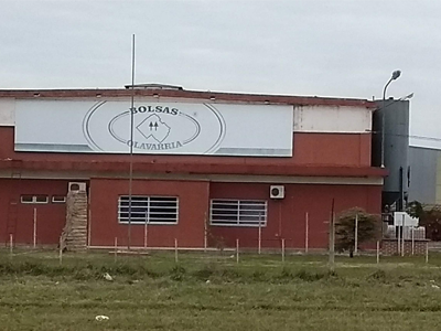 bolsas